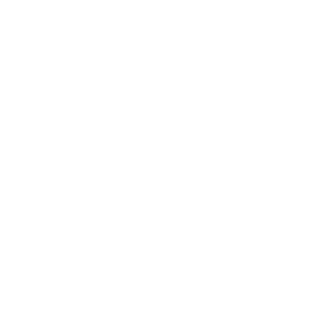 vanessa alves logo branco